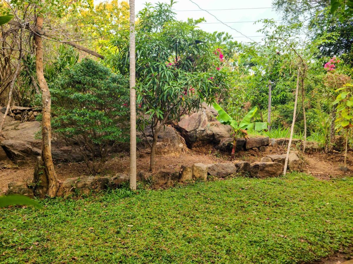 Woodholic Homestay Sigiriya Exteriér fotografie