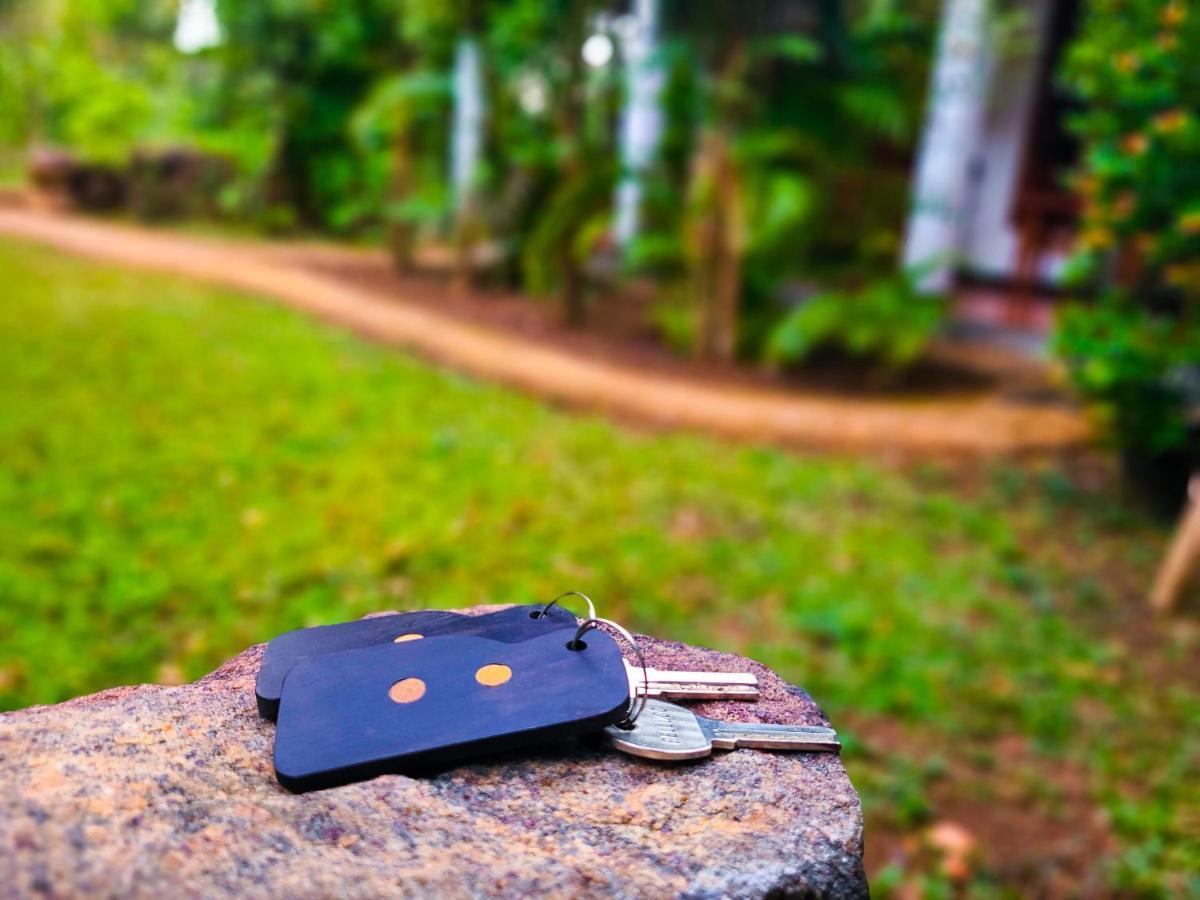 Woodholic Homestay Sigiriya Exteriér fotografie