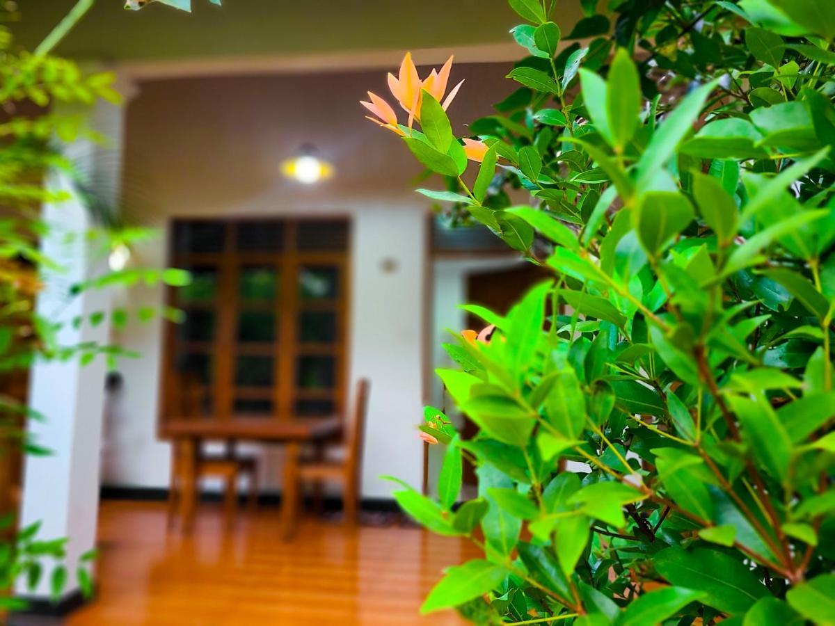 Woodholic Homestay Sigiriya Exteriér fotografie