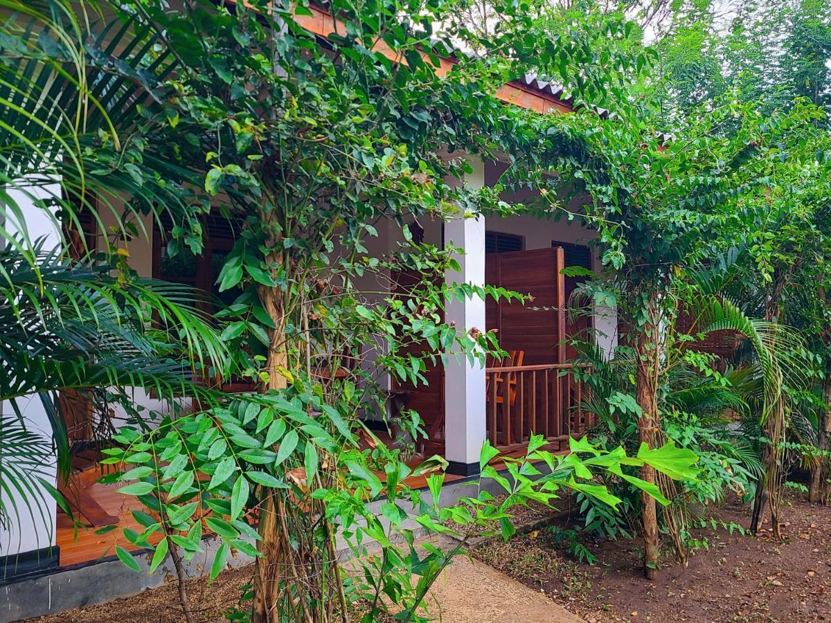 Woodholic Homestay Sigiriya Exteriér fotografie