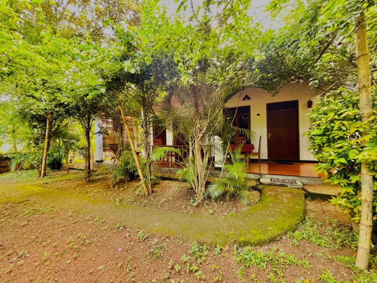Woodholic Homestay Sigiriya Exteriér fotografie