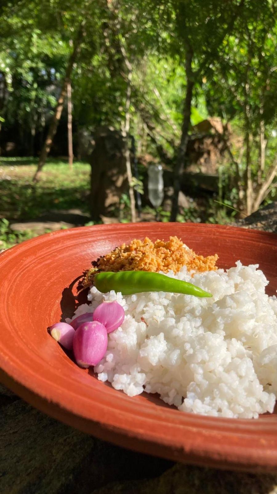 Woodholic Homestay Sigiriya Exteriér fotografie